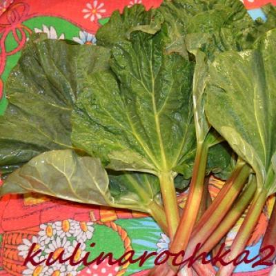 Culinary recipes for rhubarb dishes, cabbage soup, soups, salads and rhubarb vodka Canned rhubarb with strawberries