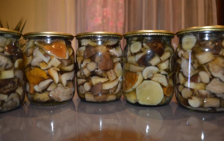 Mushrooms marinated for the winter - recipes for all types