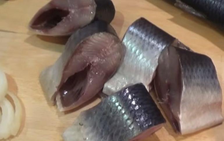 How to salt herring at home?