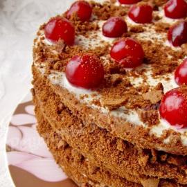 Honey cake with cherries: a real summer miracle Honey cake with cherries and sour cream